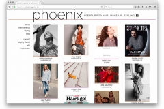 phoenix-agentur-website-13-53-30