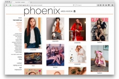 phoenix-agentur-website-13-53-45